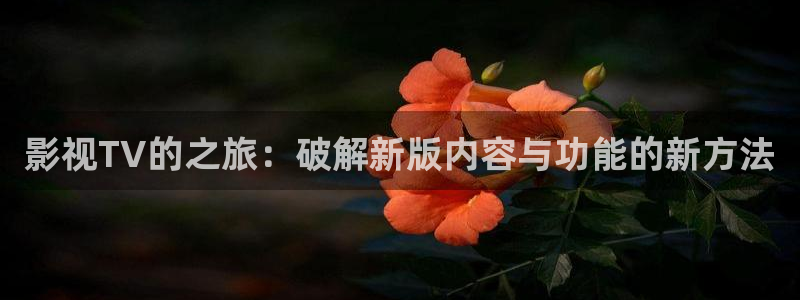 黑狐影院神马电影网：影视TV的之旅：破解新版内容与功能的新方法