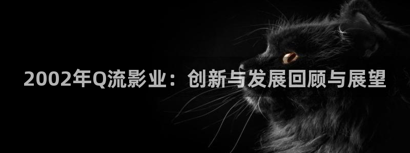 黑狐影院伦理：2002年Q流影业：创新与发展回顾与展望